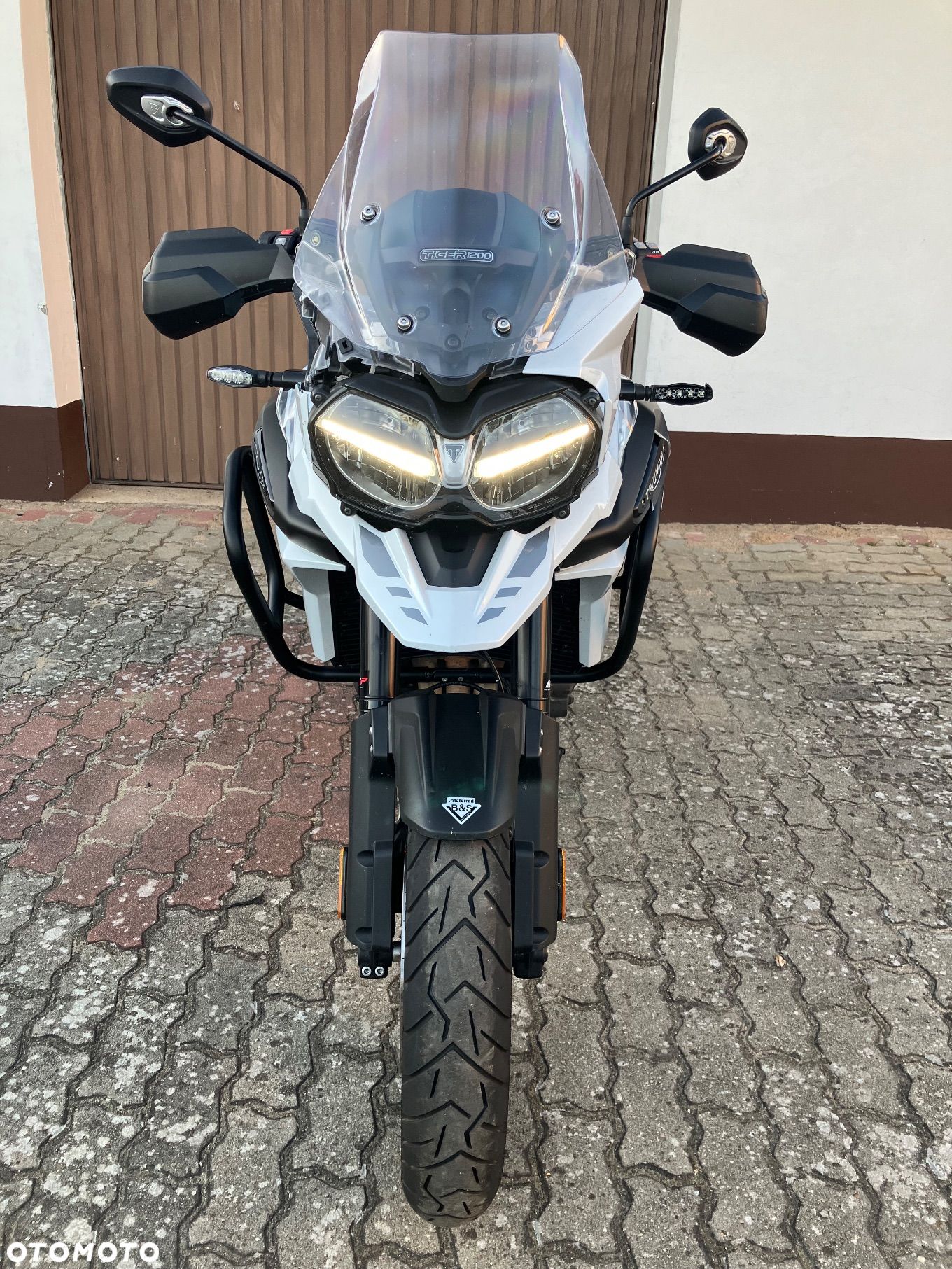 Triumph Tiger - 1