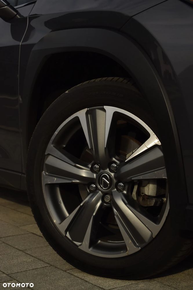 Lexus UX 300e 54.3 kWh Prestige 2WD - 6