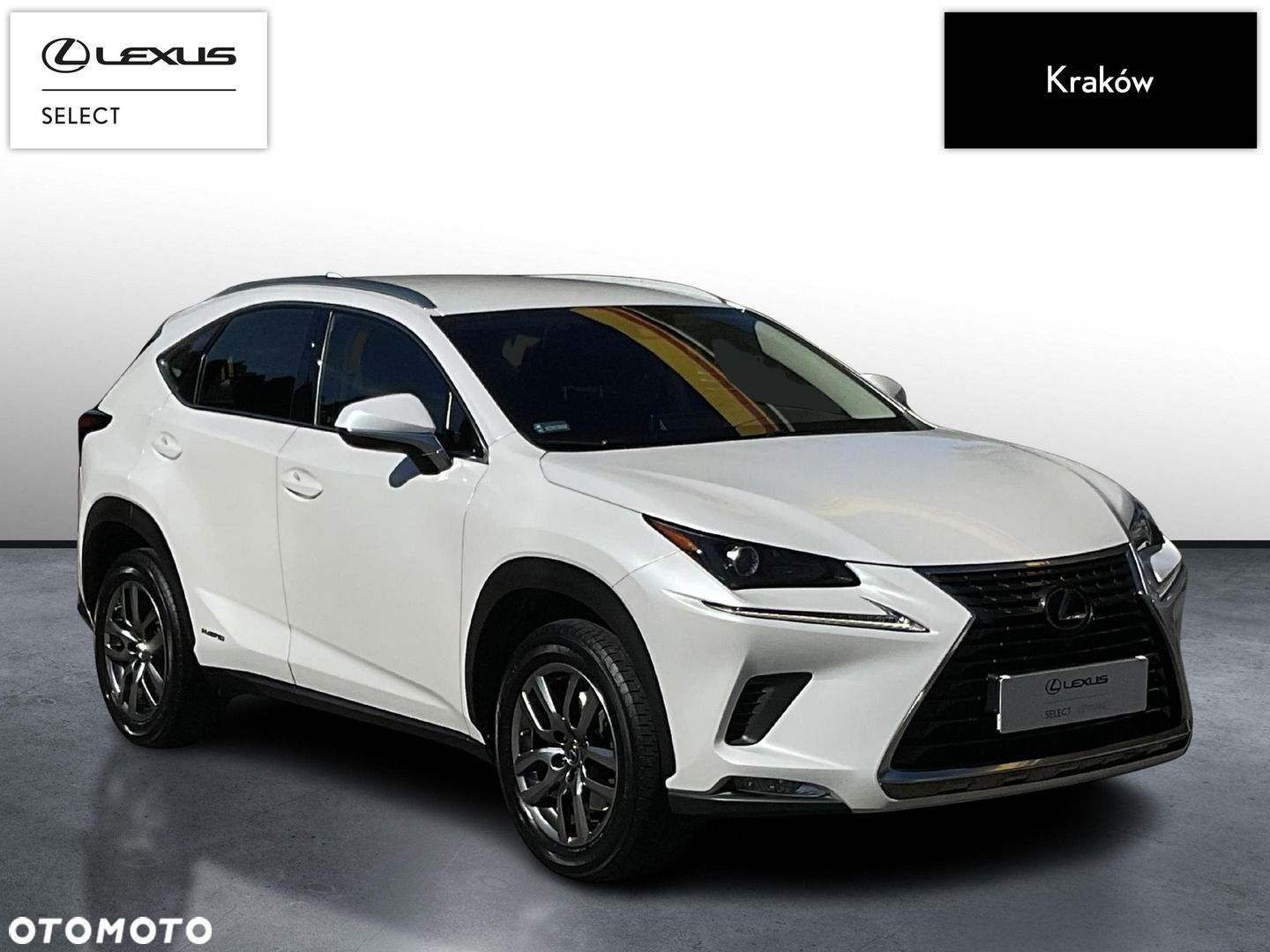 Lexus NX 300h Business Edition AWD - 7