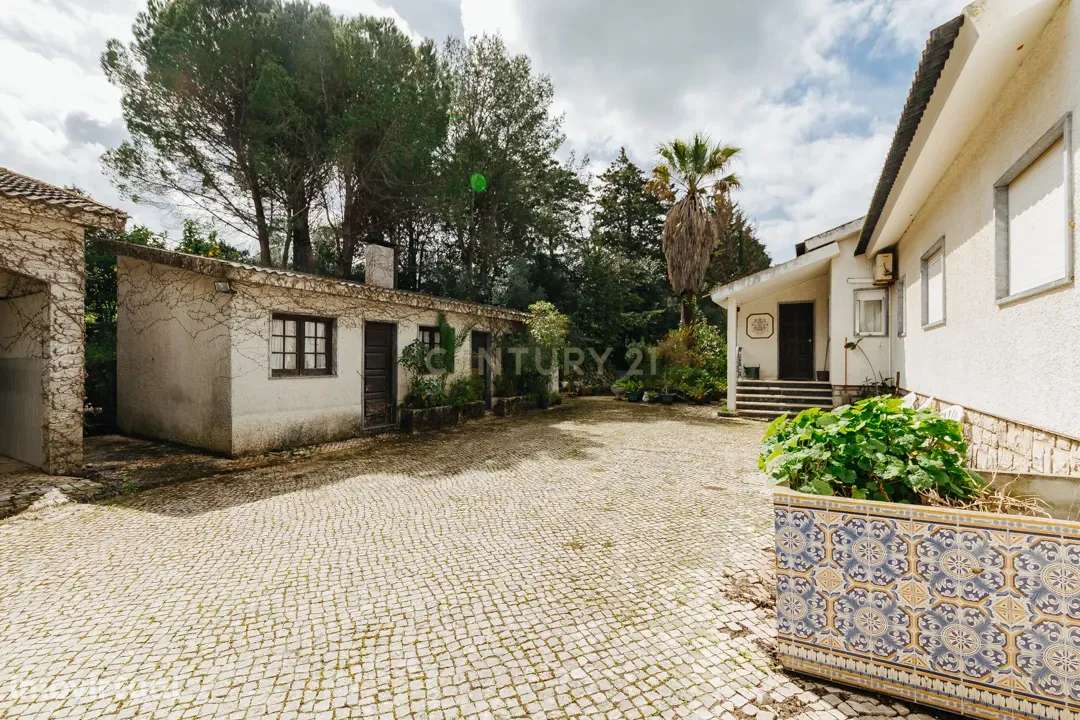 Moradia, 336 m², Alcanena e Vila Moreira - Grande imagem: 2/39