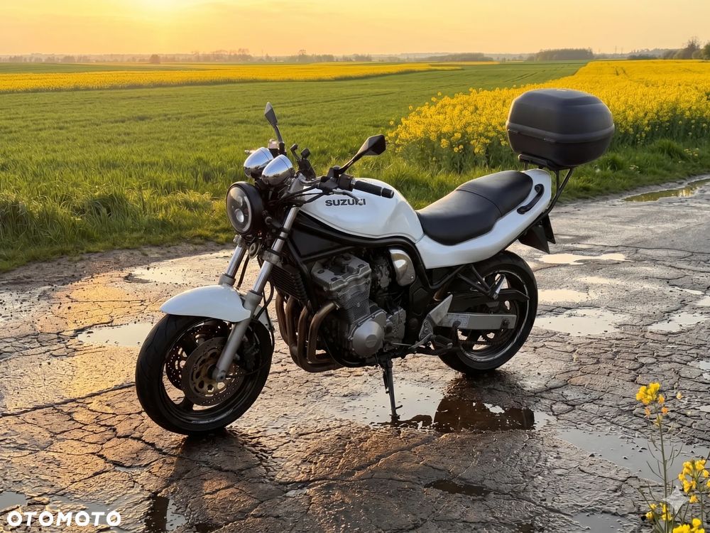 Suzuki Bandit - 1