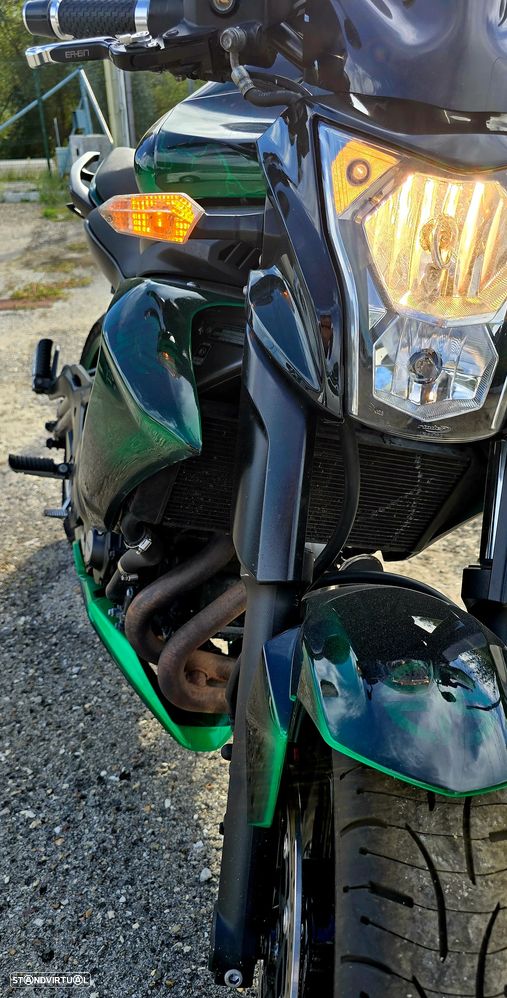 Kawasaki ER 6n Diabólica - 4