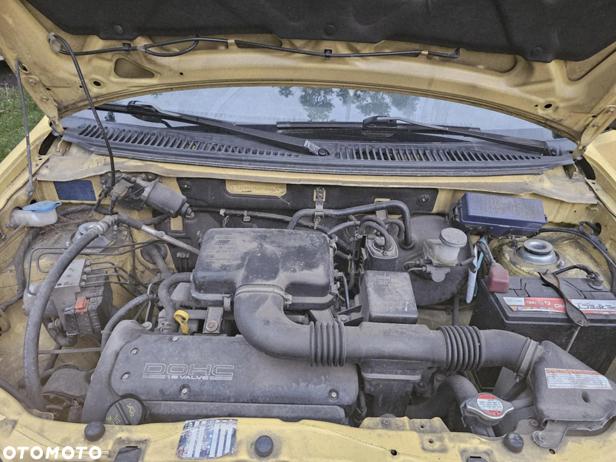 Suzuki Ignis - 7
