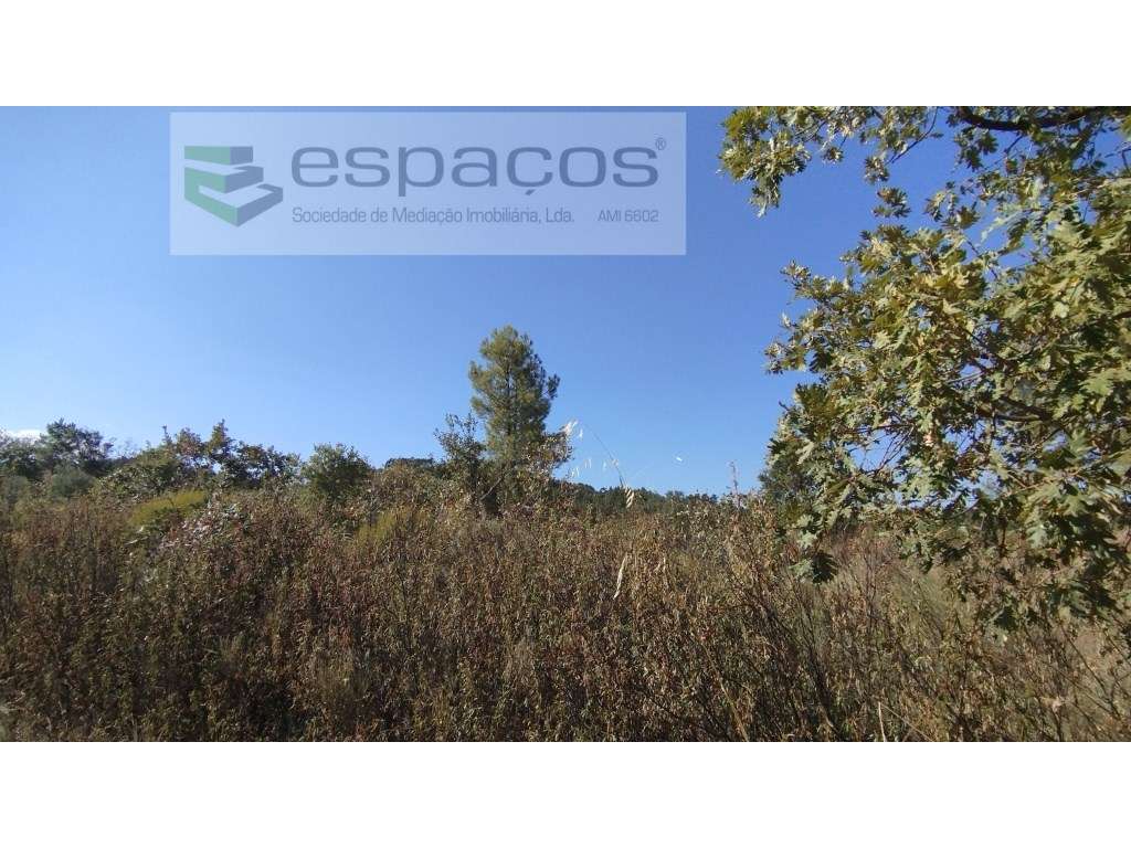 Terrenos - Grande imagem: 5/11