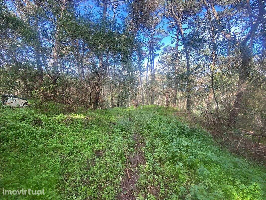 Terreno  para venda - Grande imagem: 3/17