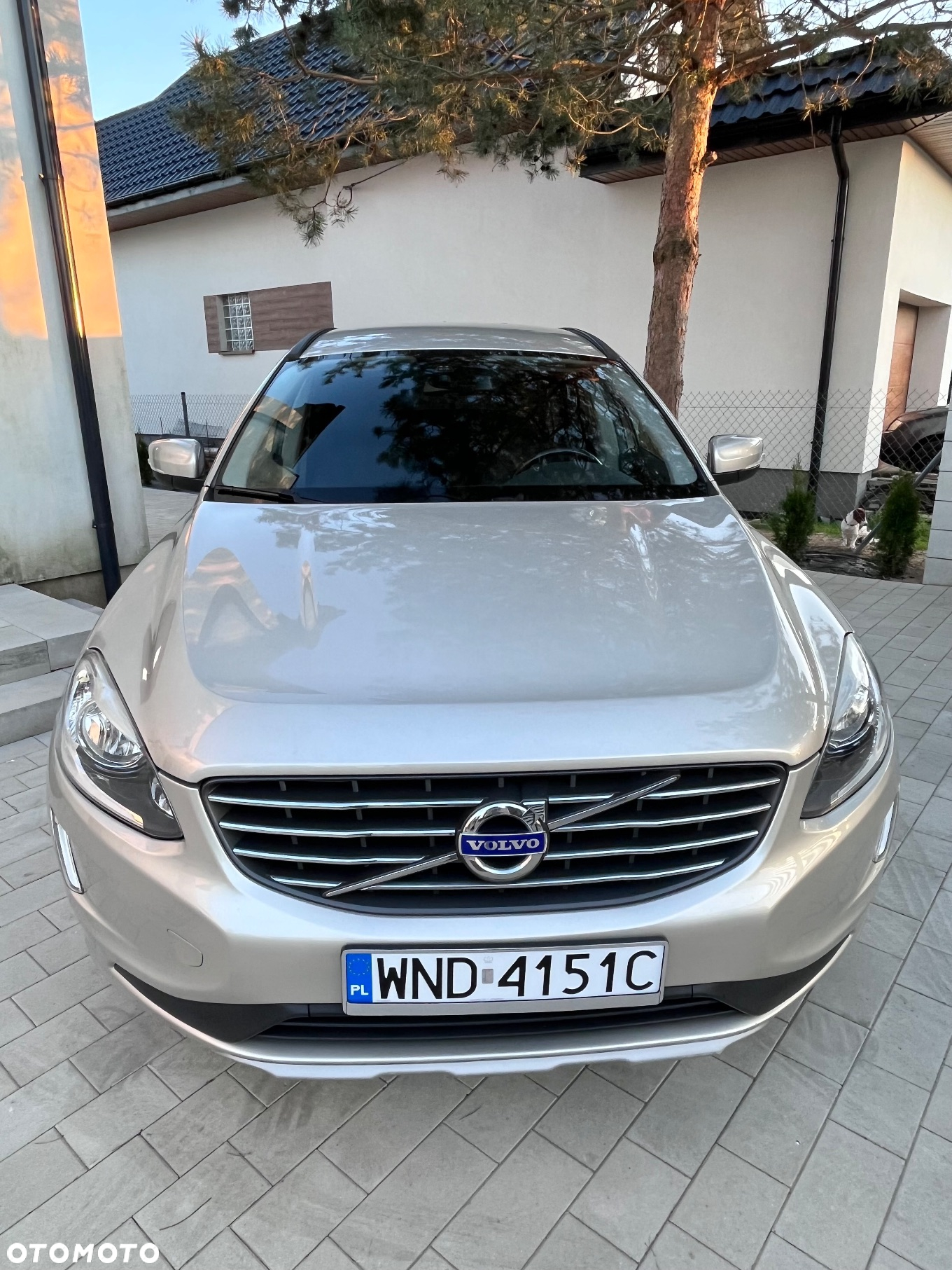 Volvo XC 60 - 7
