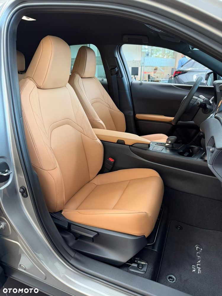 Lexus UX 300h F Sport Design - 15