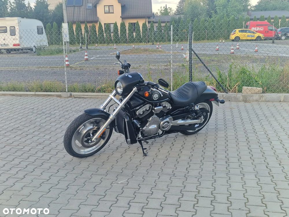 Harley-Davidson V-Rod Street Rod - 6