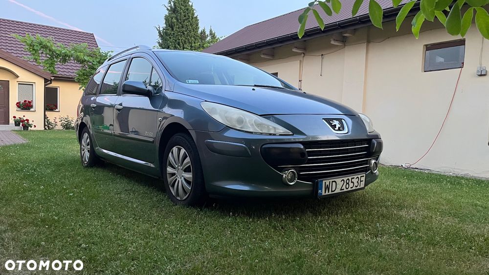 Peugeot 307 2007 photo 3