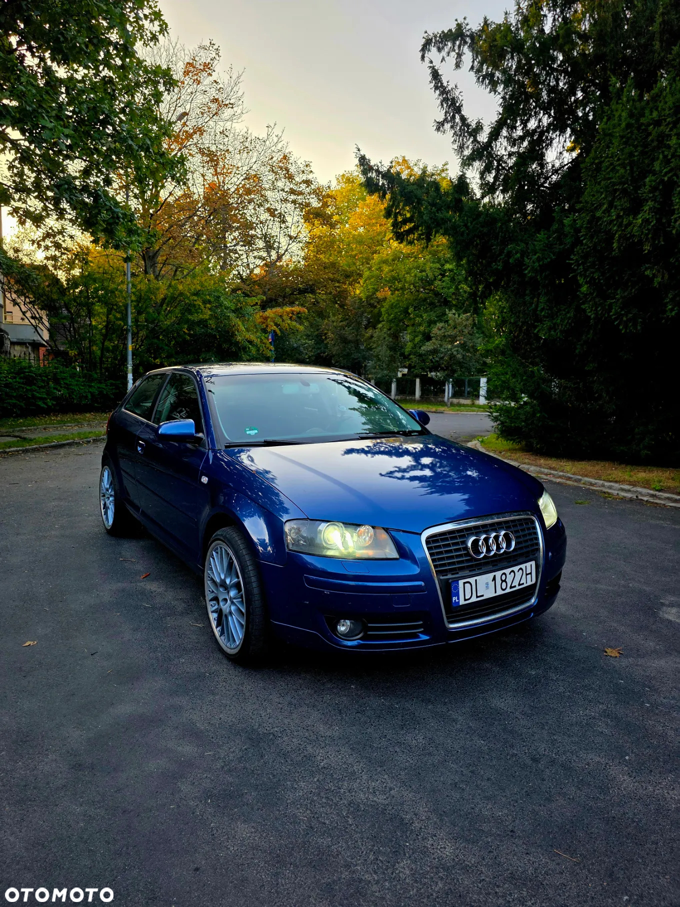 Audi A3 2.0 TDI DPF Attraction - 2