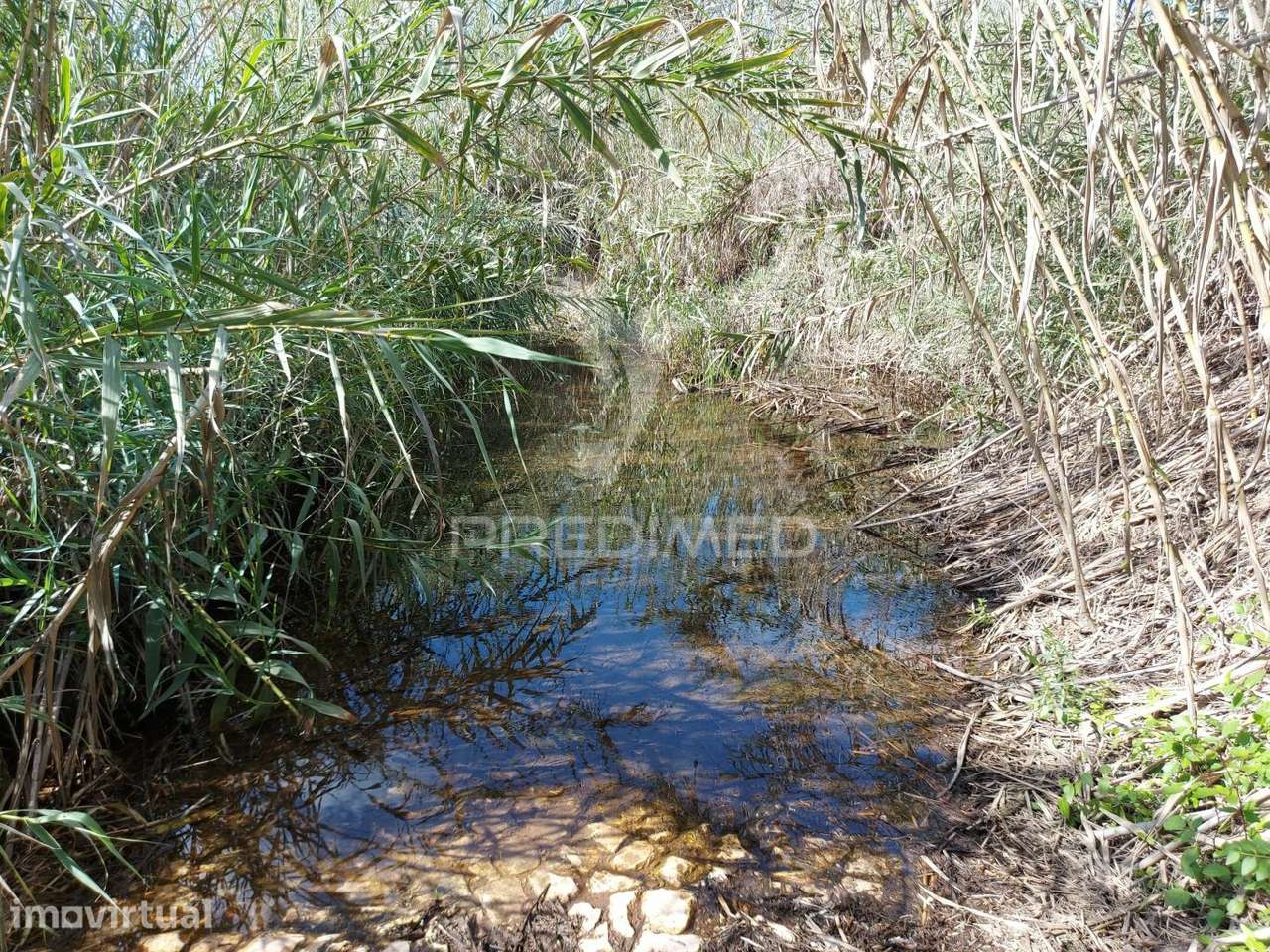 Terreno agrícola 2600m2 com árvores e água em Silves - Grande imagem: 3/17