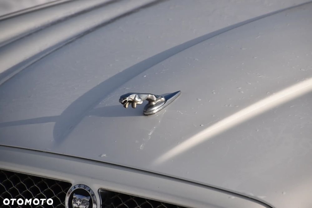 Jaguar XJ XJ8 3.5 Executive - 14