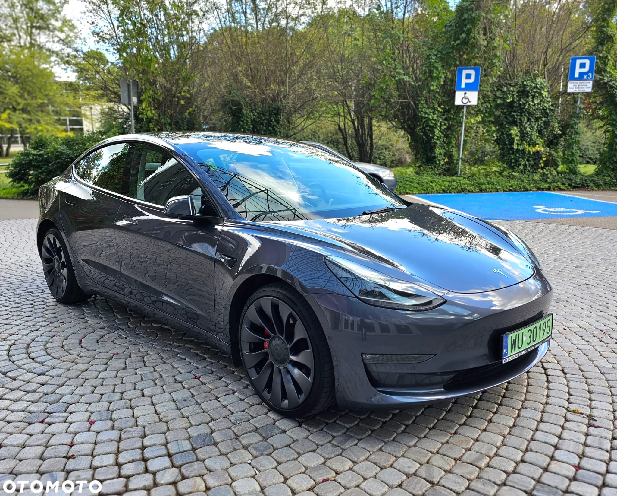 Tesla Model 3 Performance AWD - 7