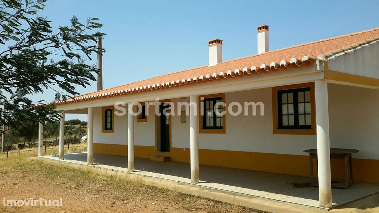 Moradia Isolada T5 Venda em Serpa (Salvador e Santa Maria),Serpa - Grande imagem: 4/8