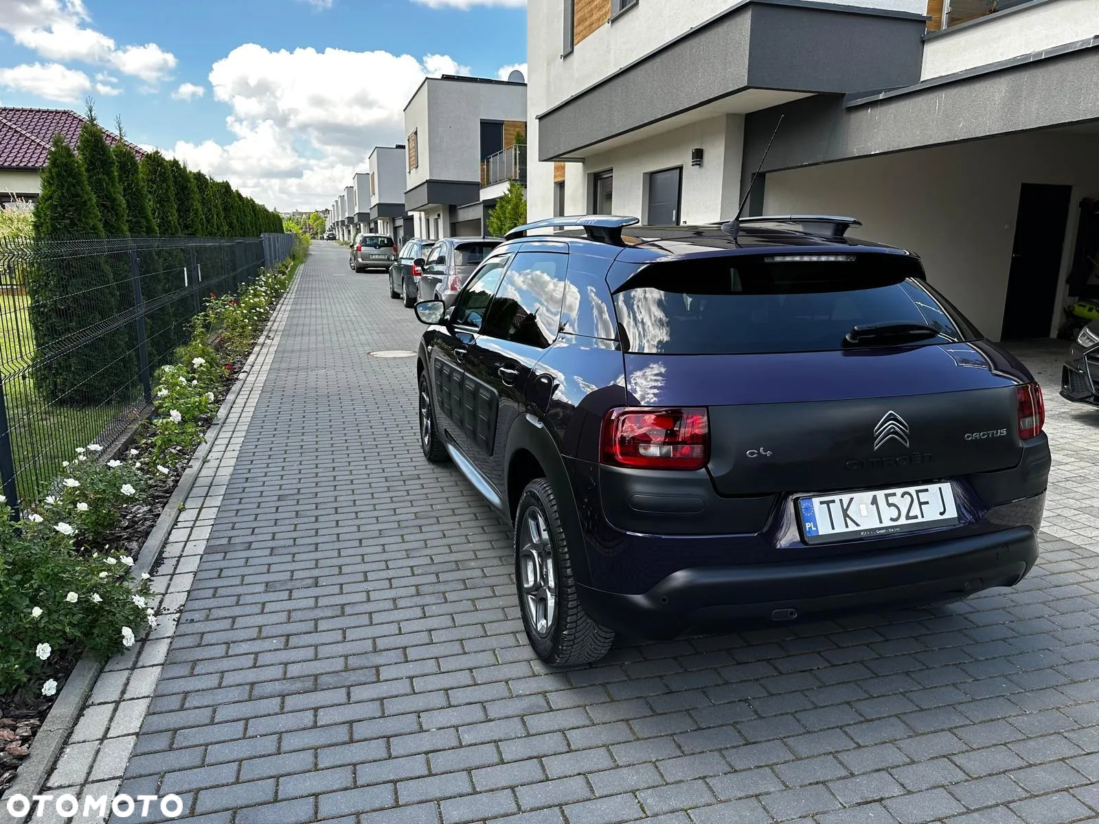 Citroën C4 Cactus BlueHDi 100 Stop&Start Shine - 10