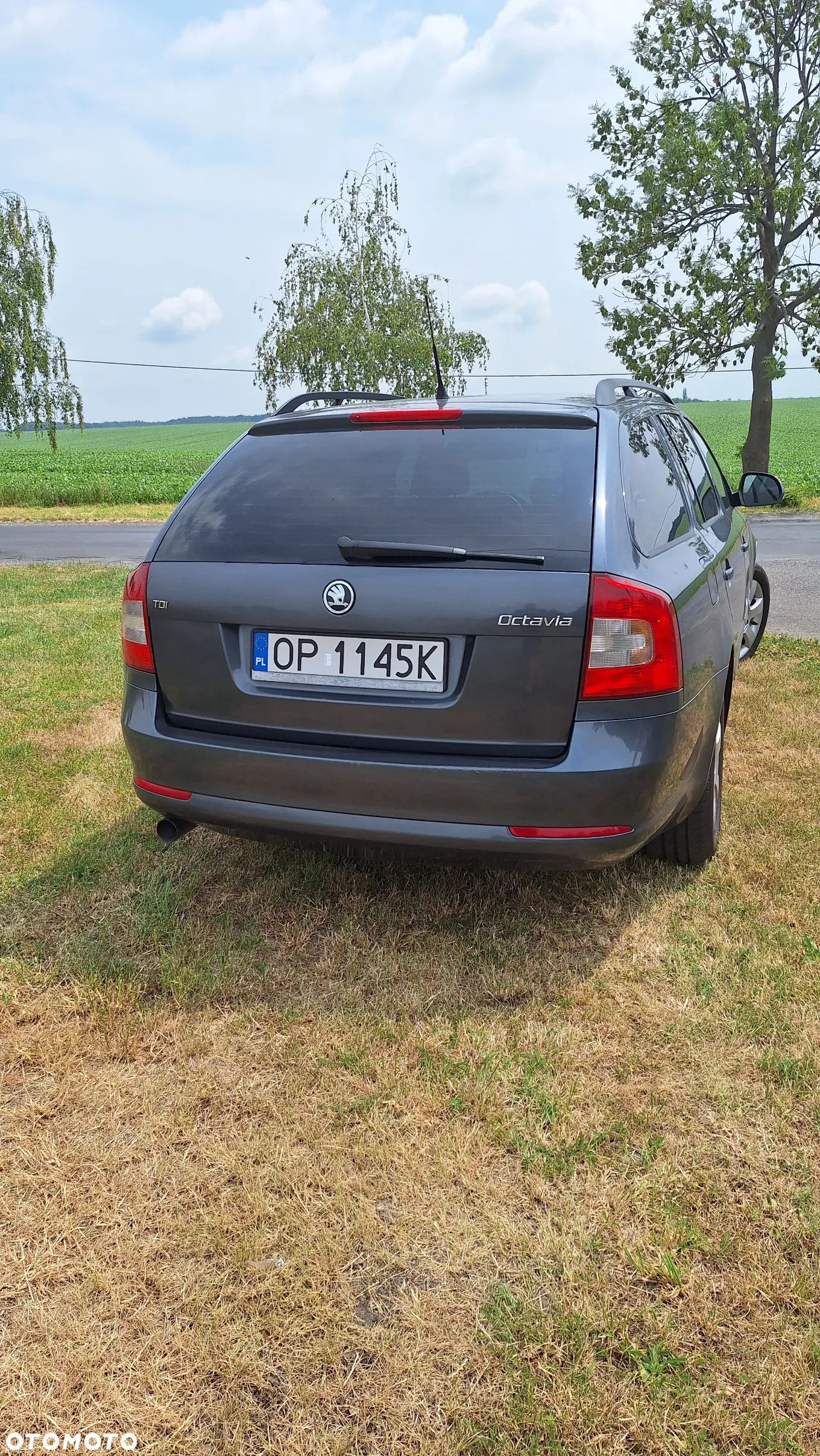 Skoda Octavia Combi 1.6 TDI DPF Classic - 6