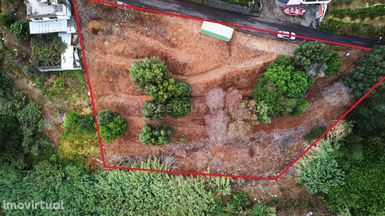 Oportunidade de Investimento - Terreno em Gaula, Madeira - Grande imagem: 4/6