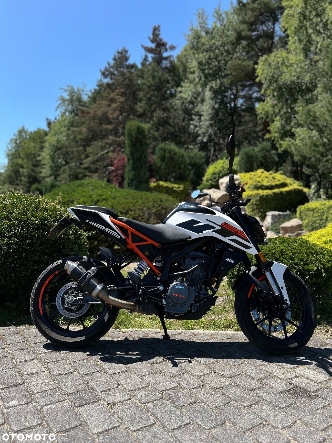 KTM Duke - 1