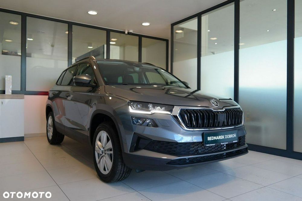 Skoda Karoq - 2