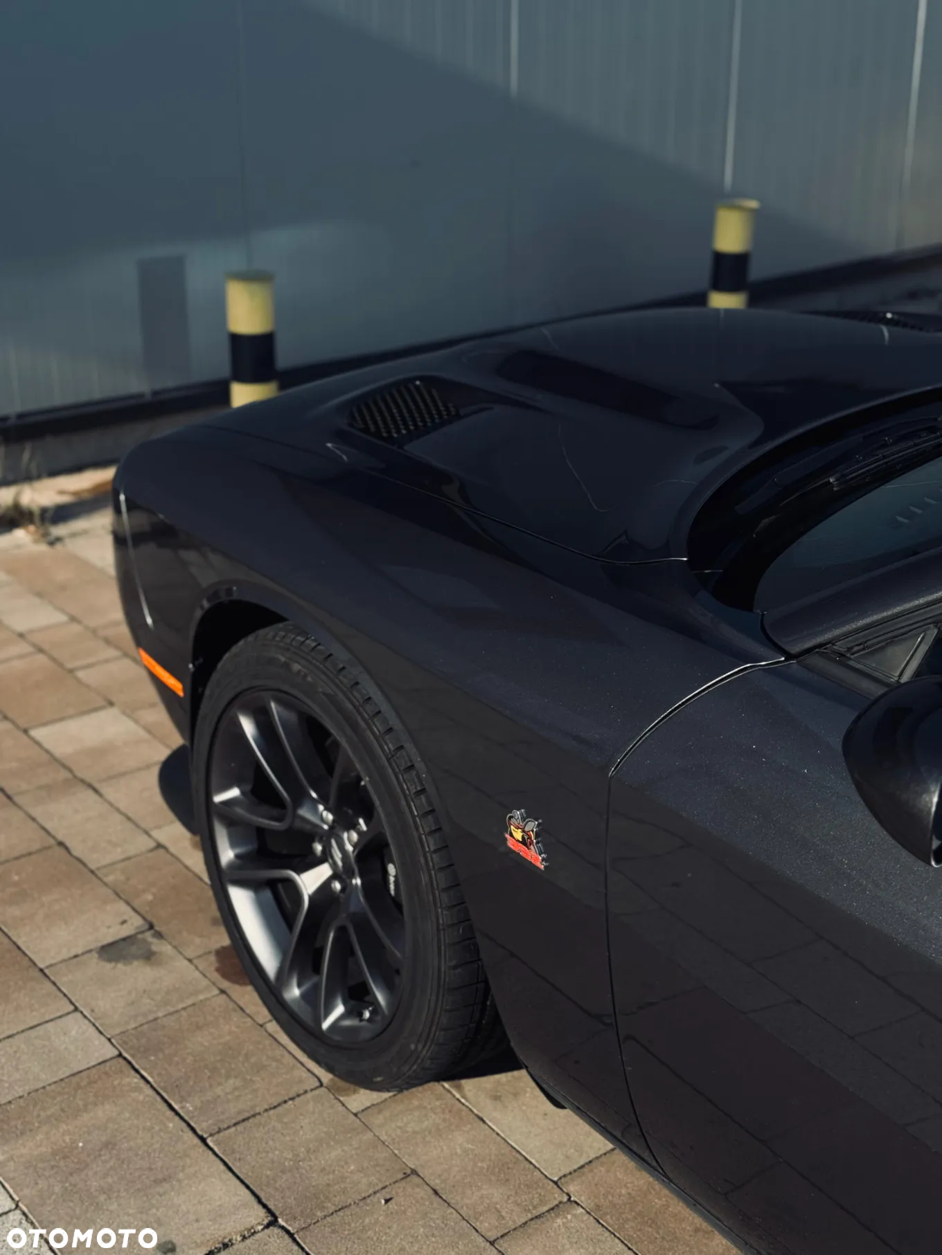 Dodge Challenger 6.4 Scat Pack - 8