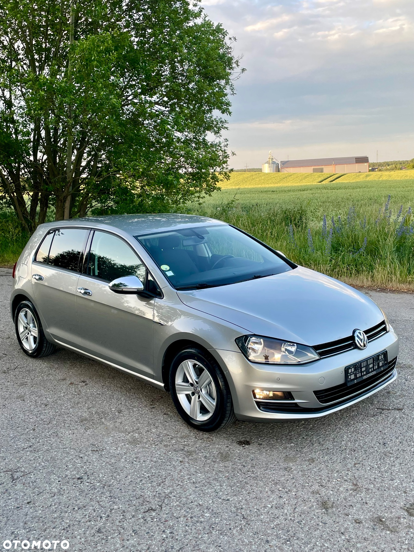 Volkswagen Golf VI 1.6 TDI Highline - 2