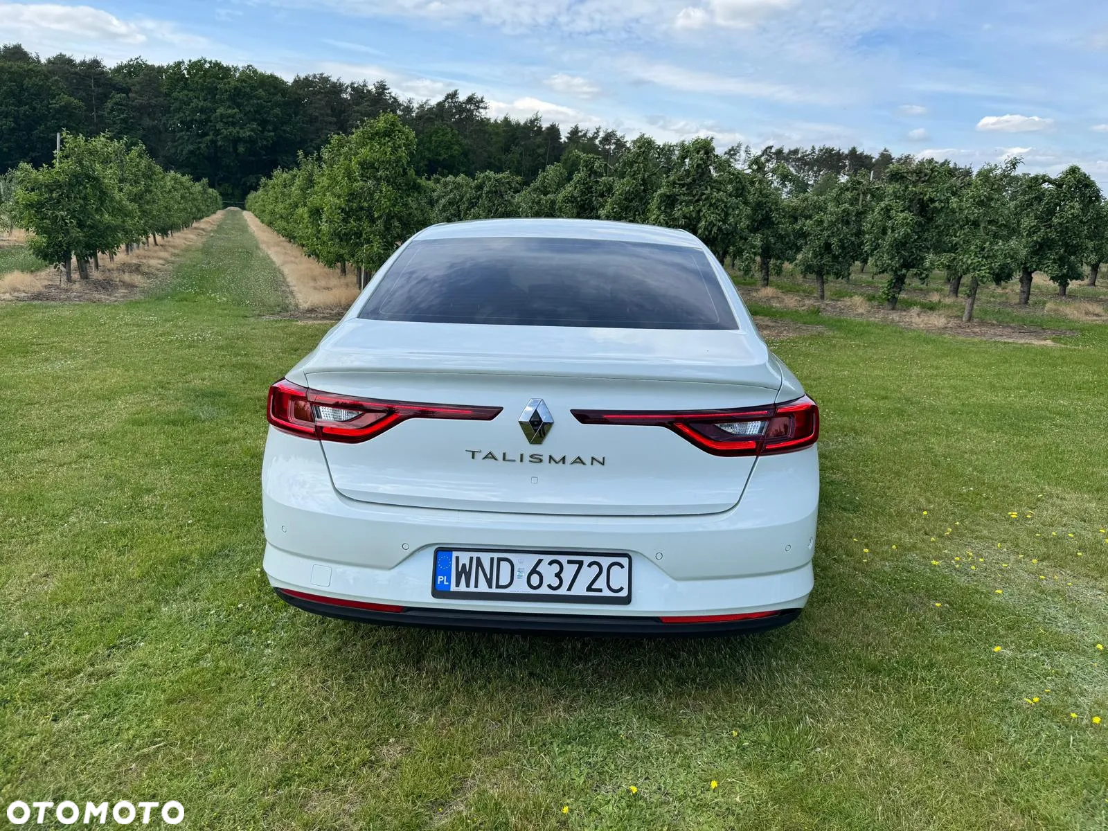 Renault Talisman ENERGY dCi 130 INTENS - 6