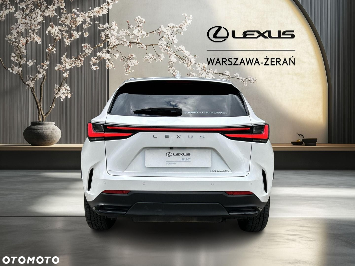 Lexus NX - 6