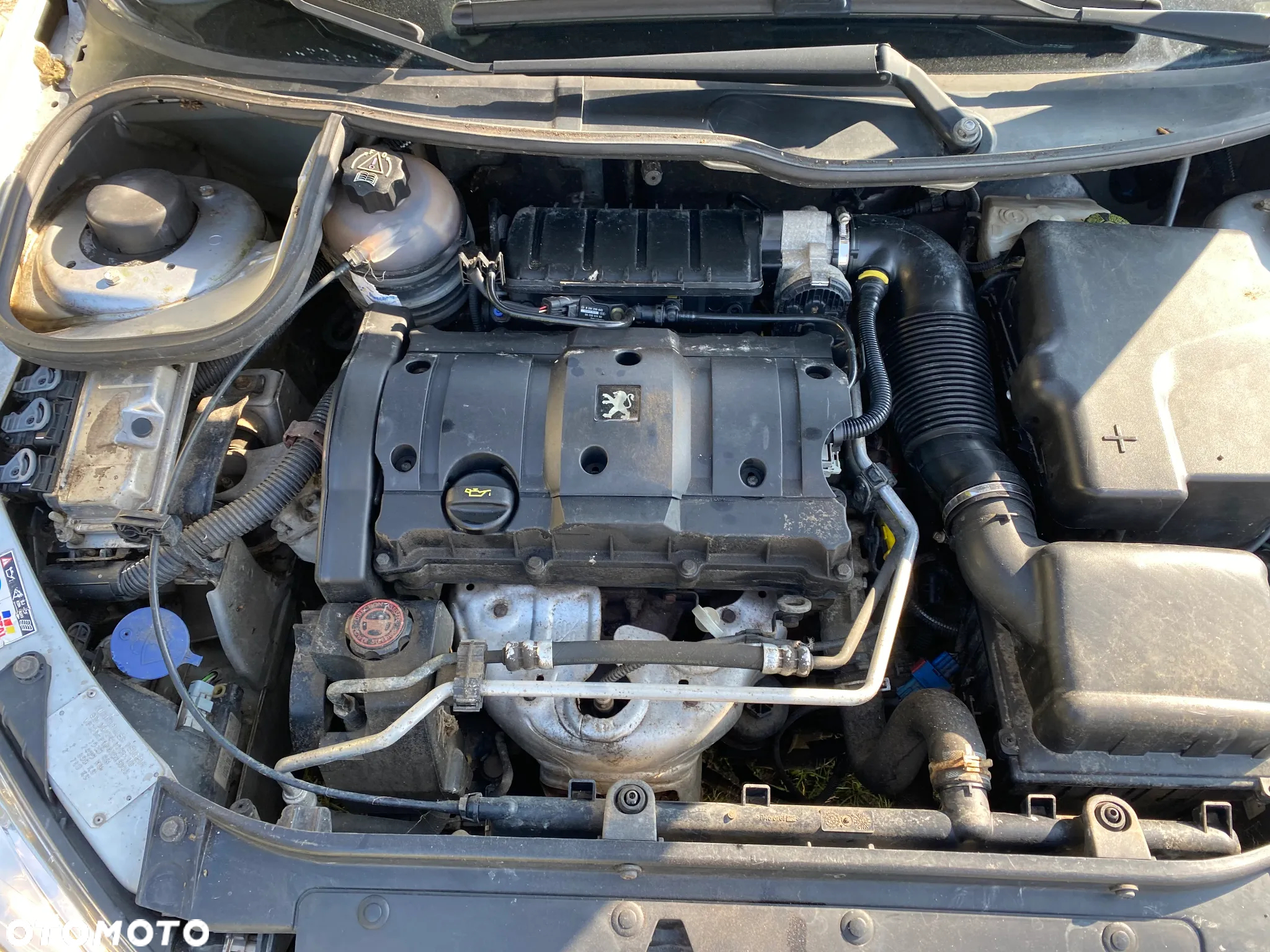 Peugeot 206 CC 110 - 4