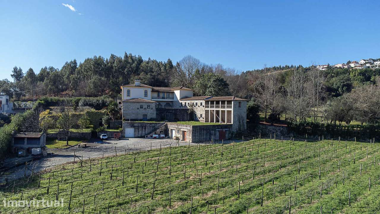 Quinta da Seara - Propriedade - Grande imagem: 5/43