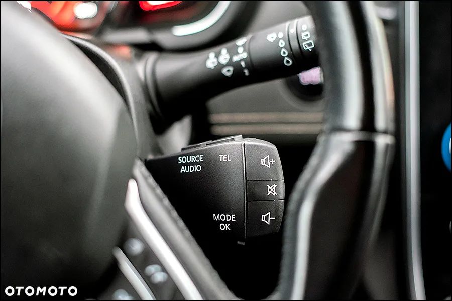 Renault Grand Scenic - 22