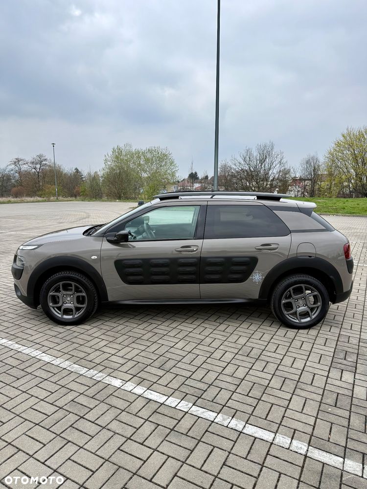 Citroën C4 Cactus PureTech 82 Shine Edition - 12