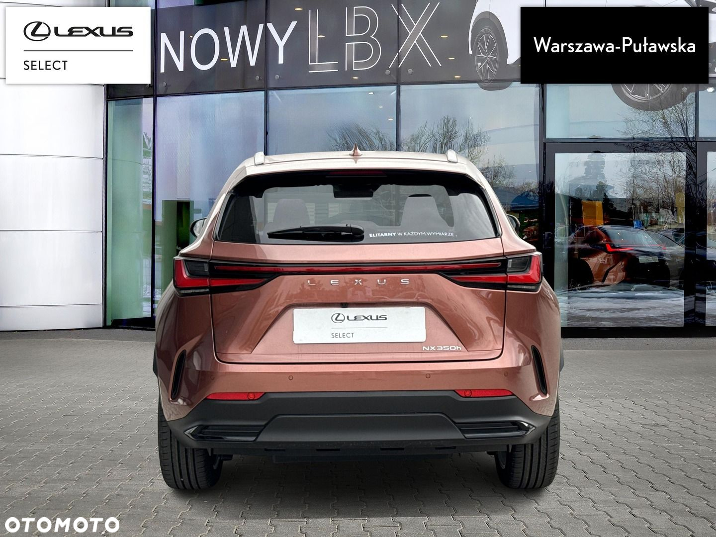 Lexus NX - 7