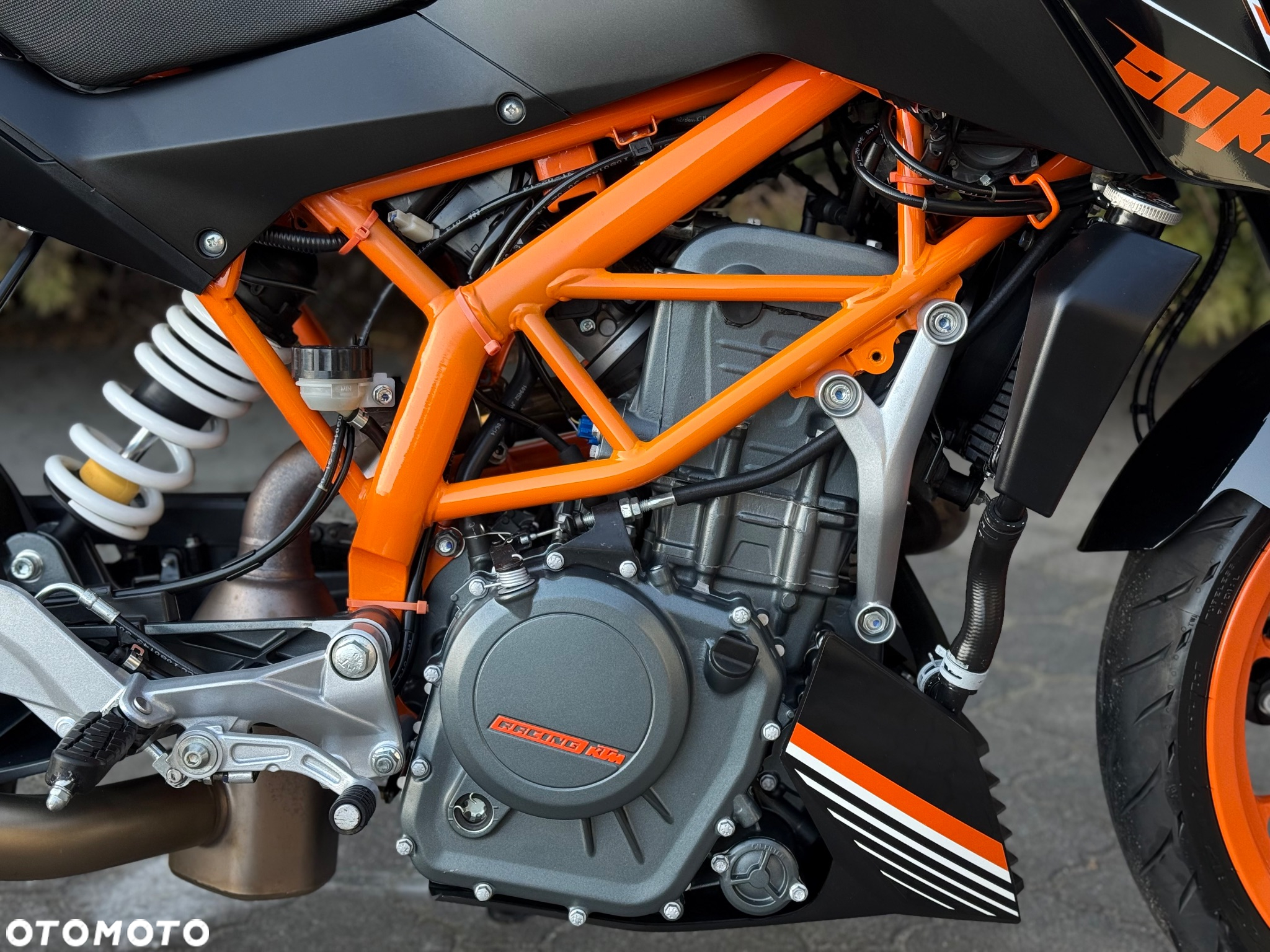 KTM Duke - 14