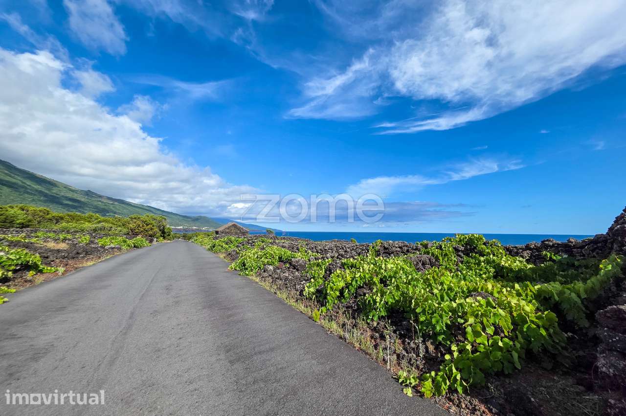 Terreno de vinhas com 1.467 m2, em São Caetano na Ilha do Pico - Grande imagem: 3/12