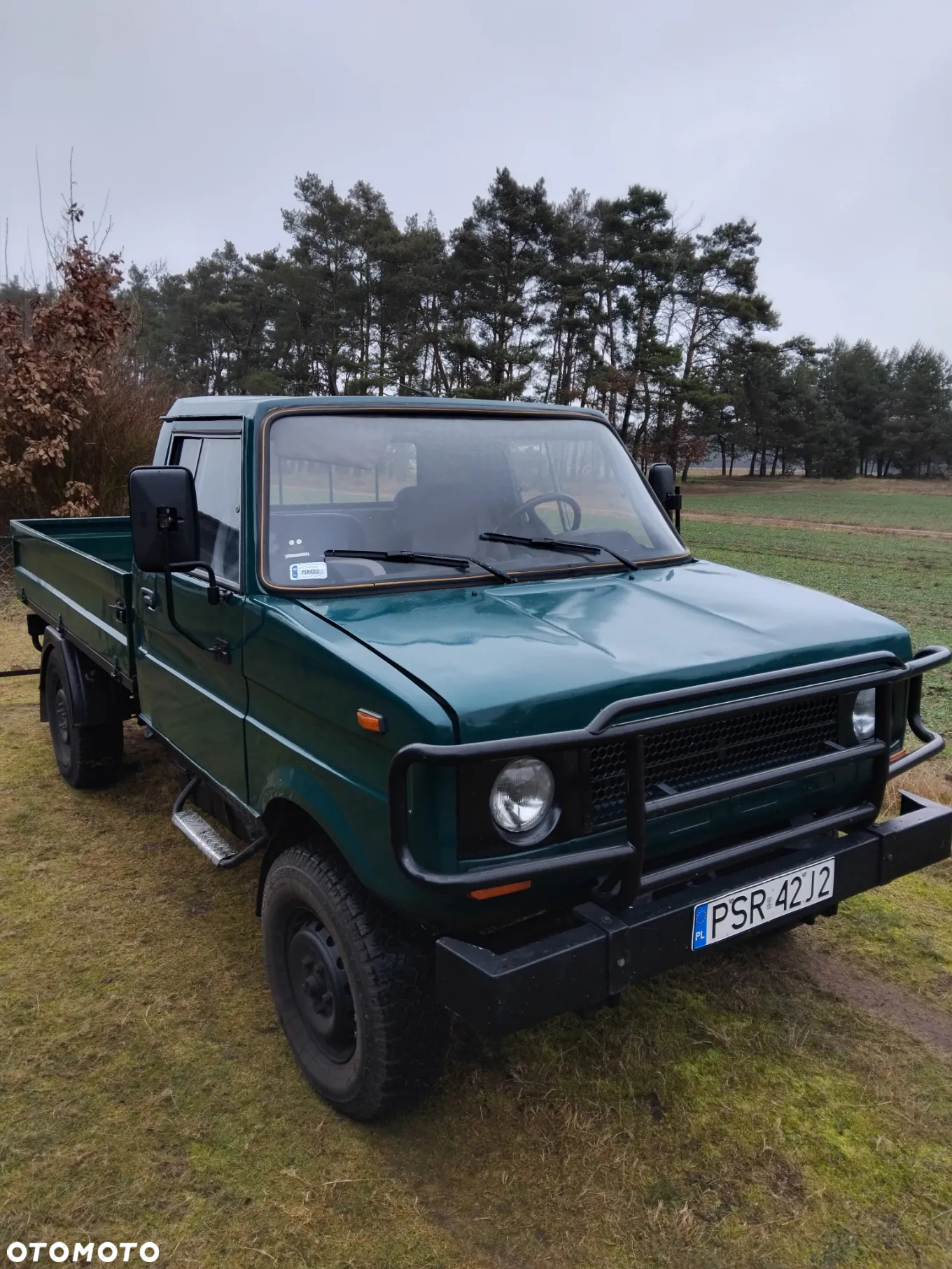 Tarpan Inny - 9
