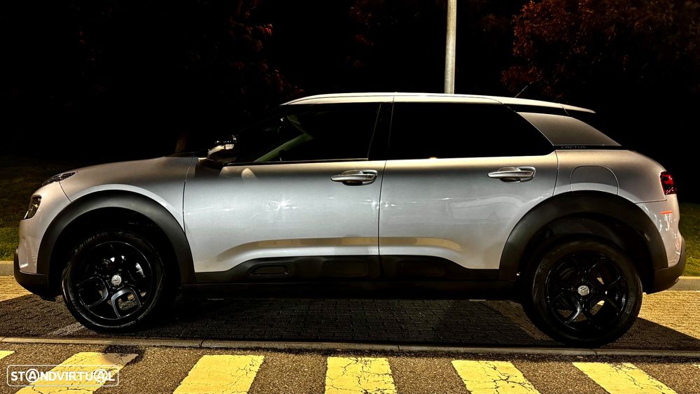 Citroën C4 Cactus 1.2 PureTech Shine - 15
