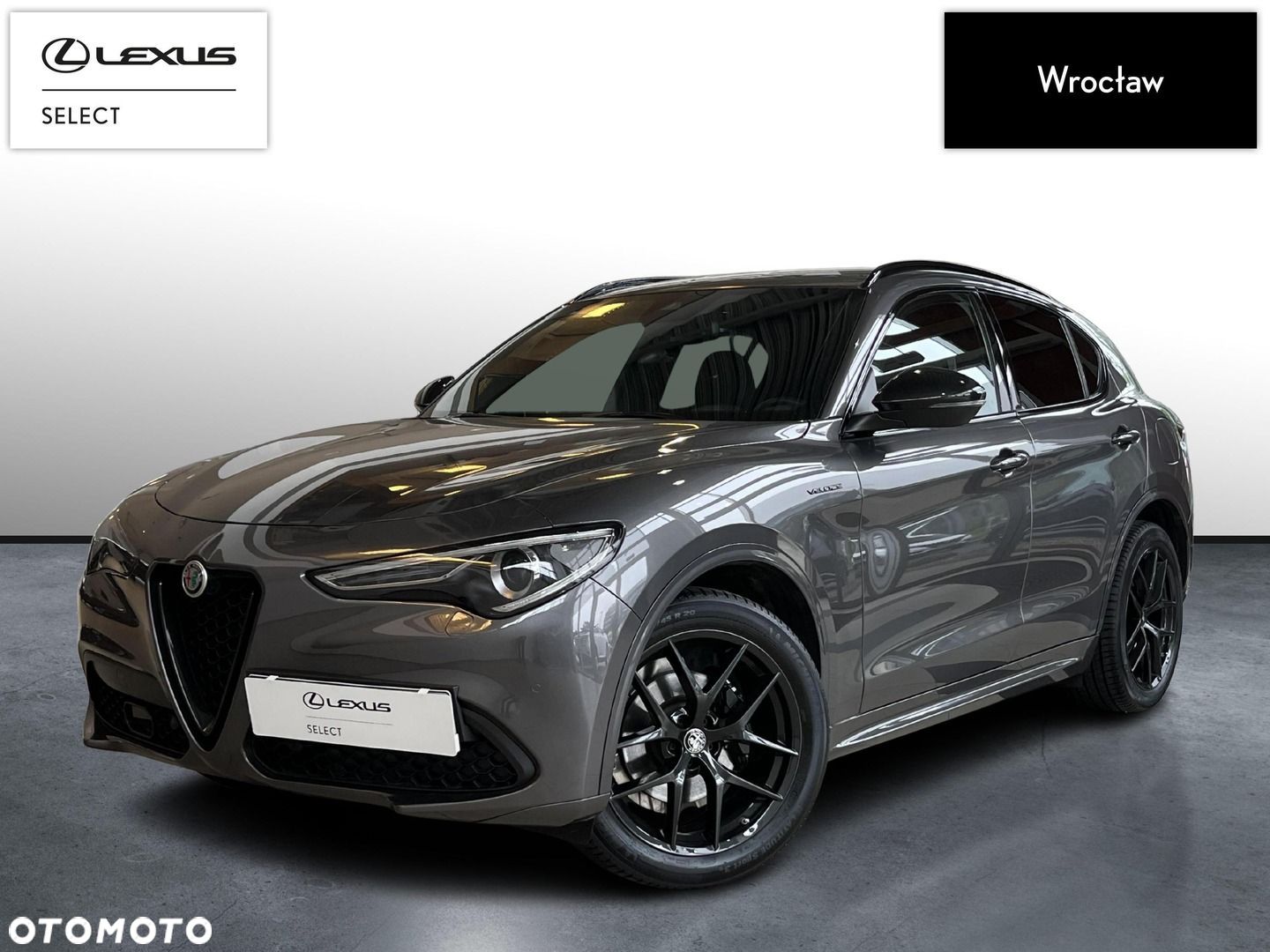 Alfa Romeo Stelvio - 1