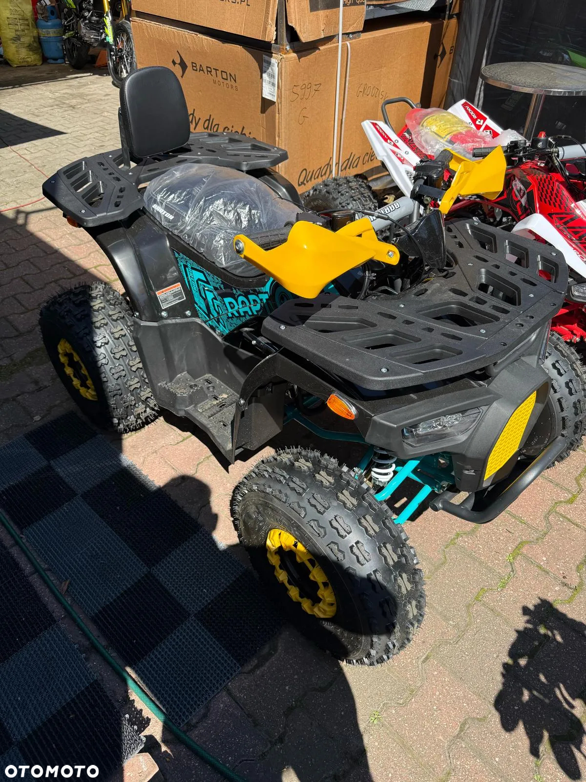 Barton Raptor - 7