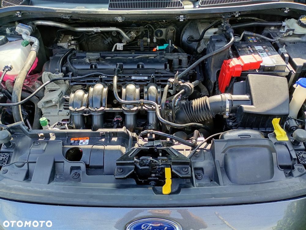 Ford Fiesta - 8