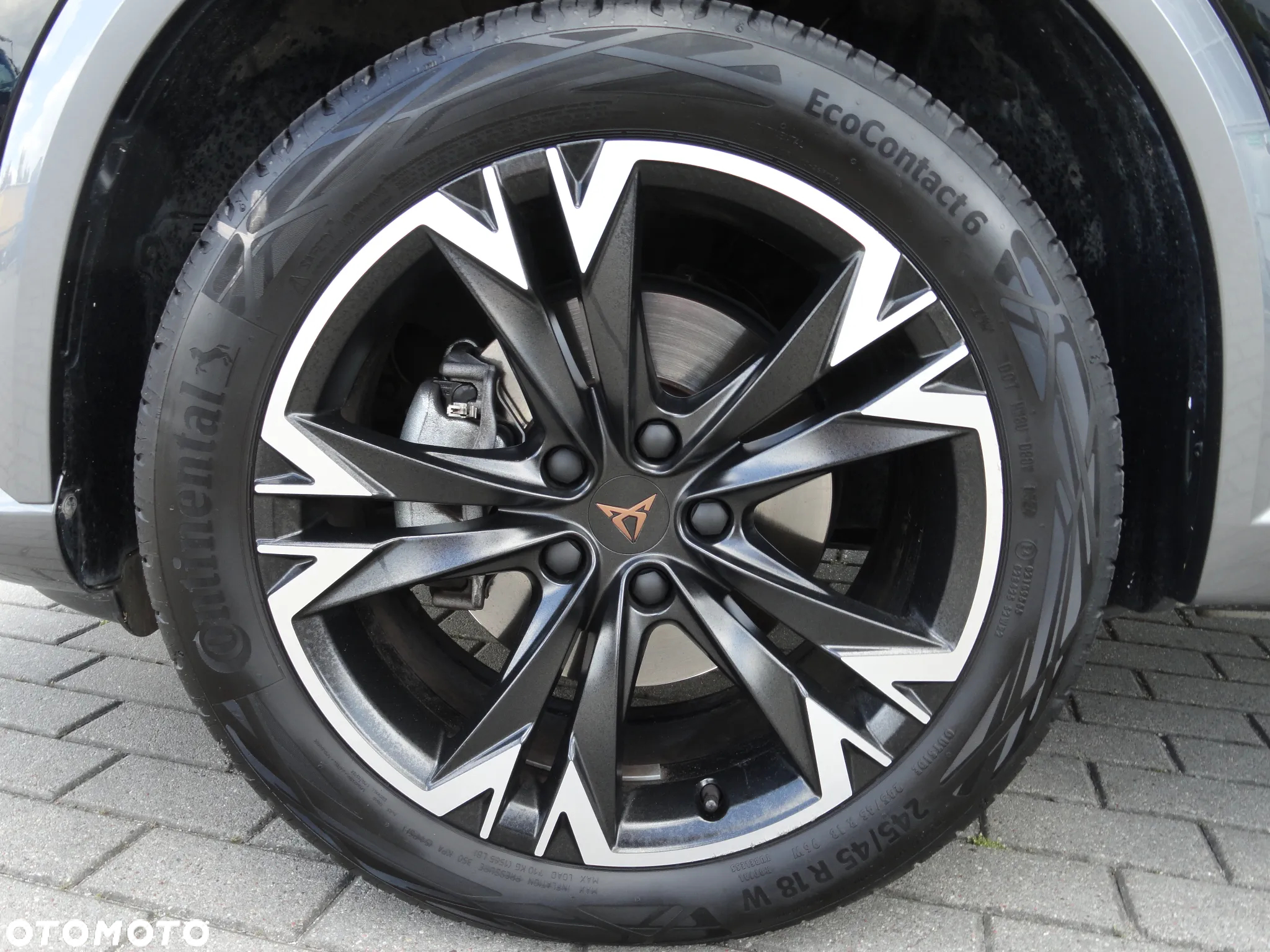 Cupra Formentor 1.5 TSI DSG Tribe Edition - 25