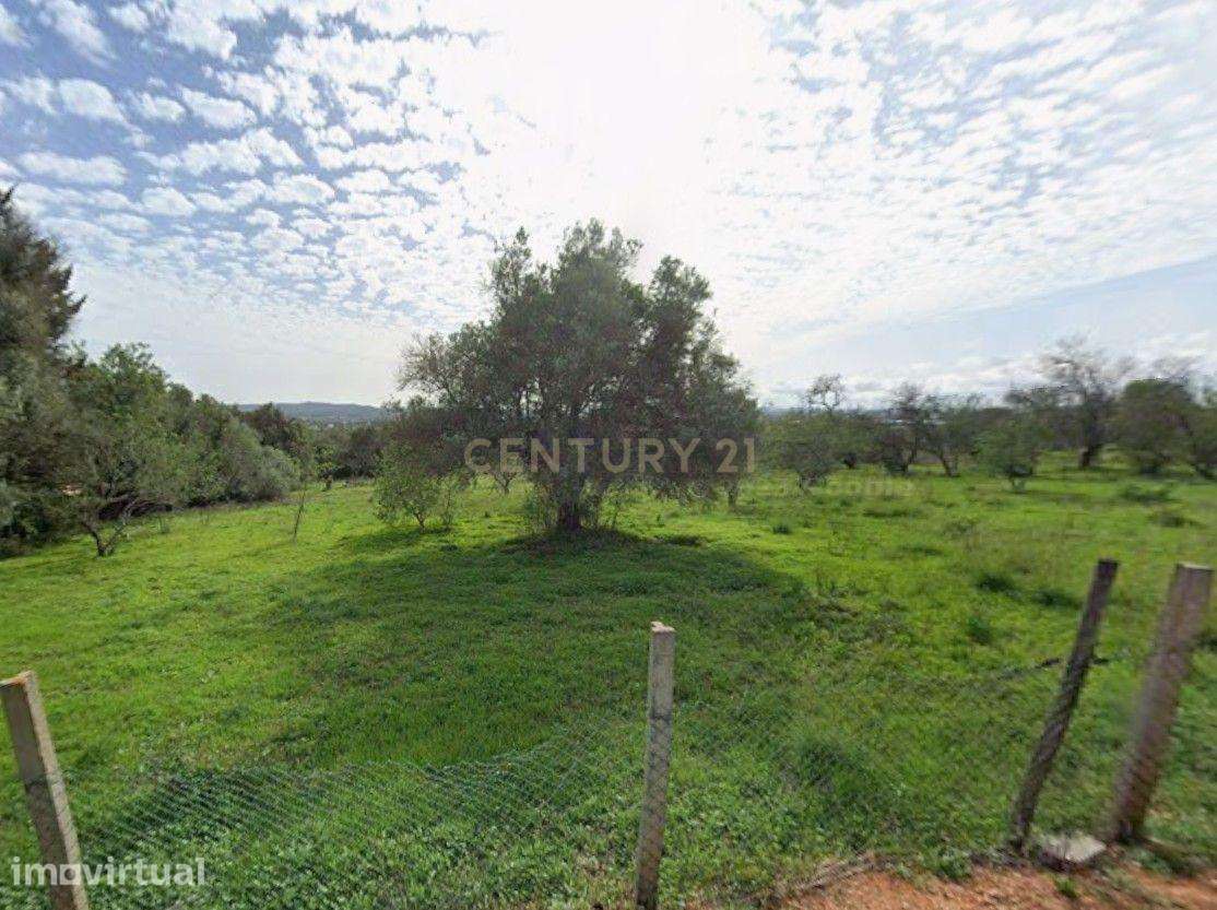 Exclusivo Terreno com 6.320m² em Silves – Natureza, Privacidade e Pote - Grande imagem: 5/9