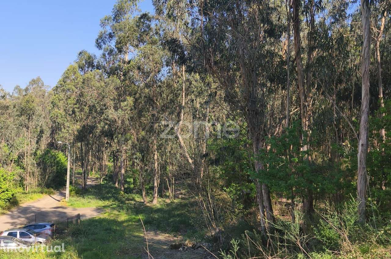 Terreno Rústico em Arnoso Santa Eulália - Grande imagem: 4/18