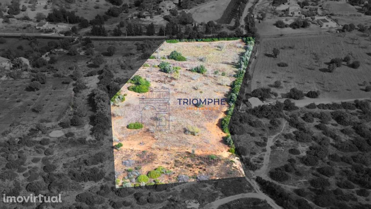 Terreno rústico 15 000 m² Estômbar - Grande imagem: 2/6