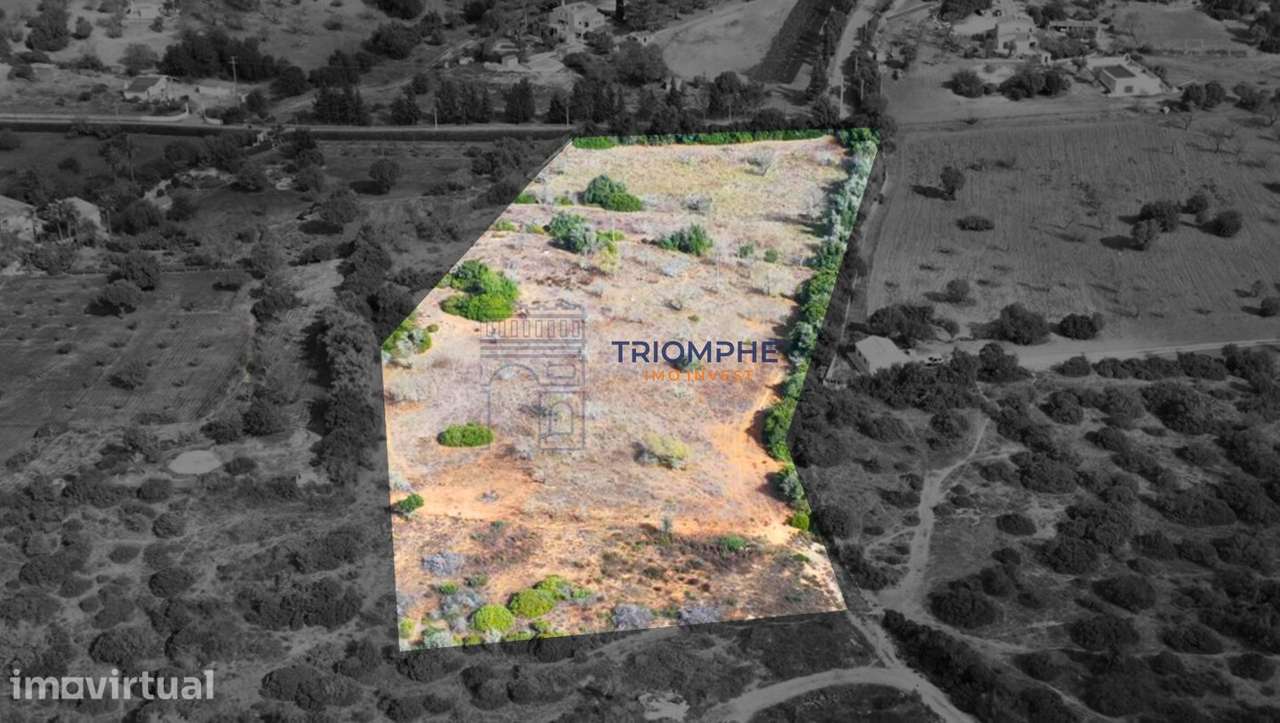 Terreno rústico 15 000 m² Estômbar - Grande imagem: 2/6