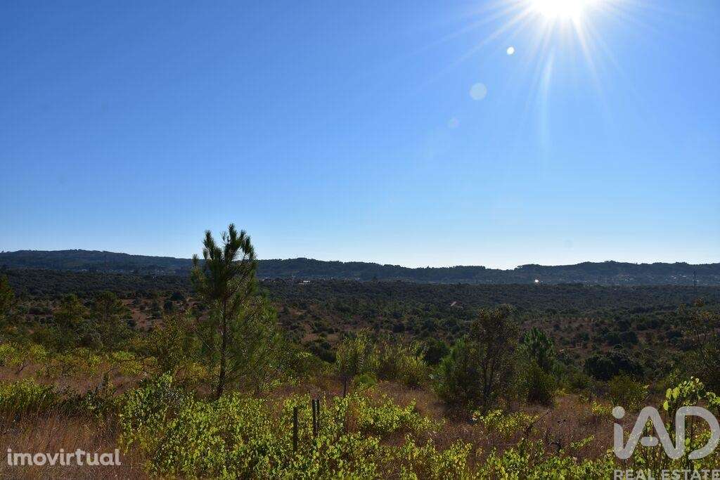 Terreno em Areias e Pias de 17000,00 m2 - Grande imagem: 5/26