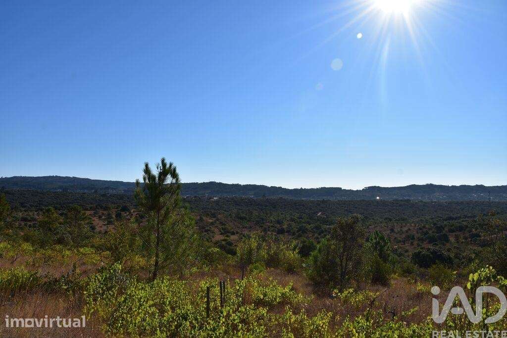 Terreno em Areias e Pias de 17000,00 m2 - Grande imagem: 5/26
