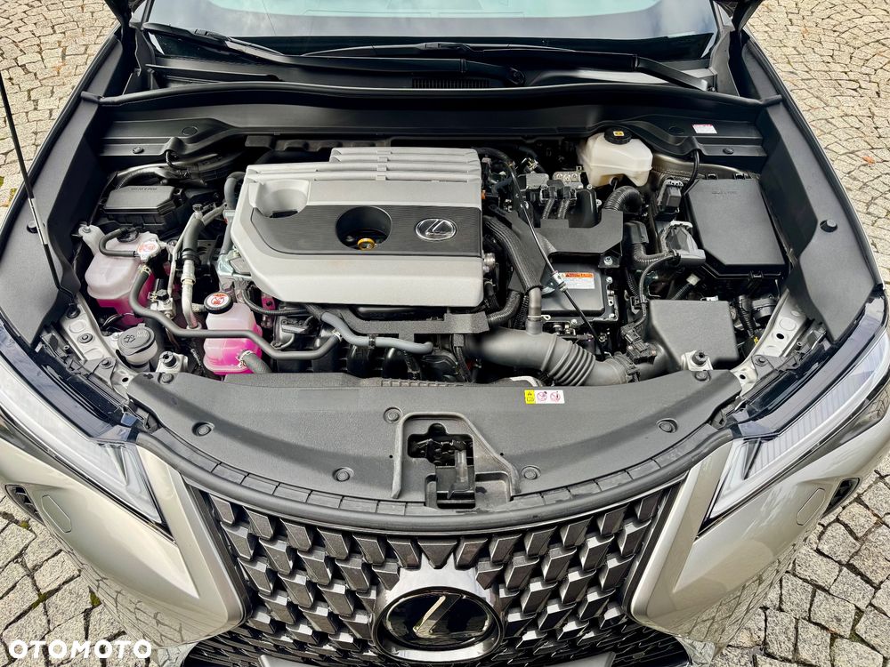 Lexus UX 250h F Sport 2WD - 40