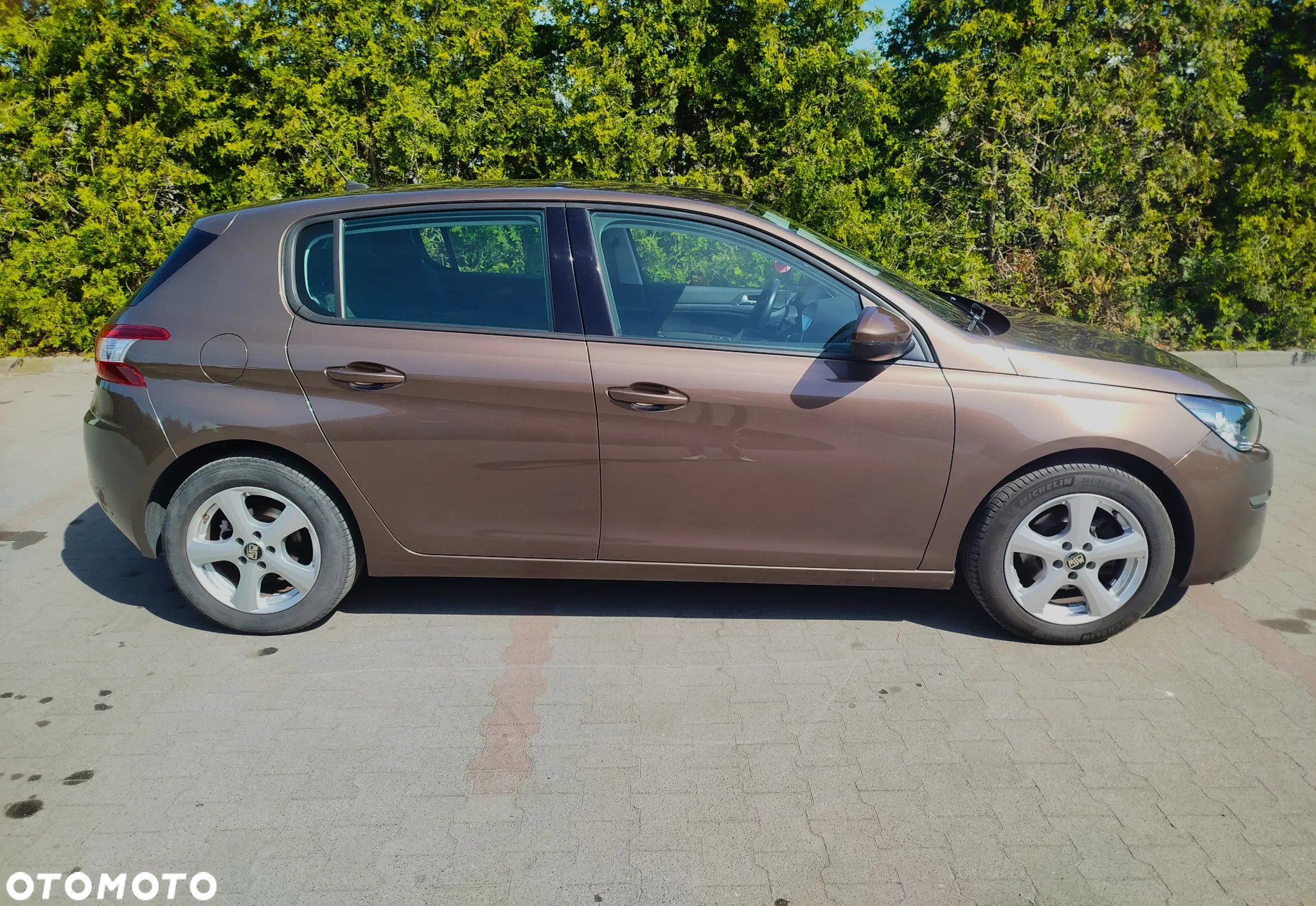 Peugeot 308 1.6 BlueHDi Active S&S - 4