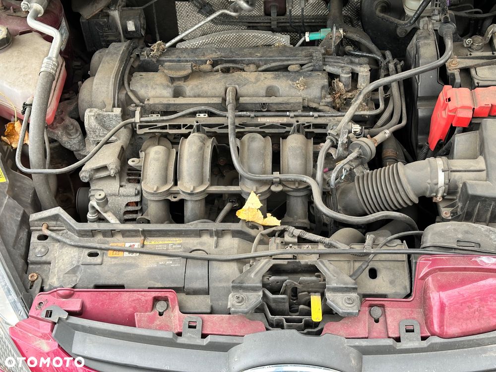 Ford Fiesta 1.25 Celebration - 5