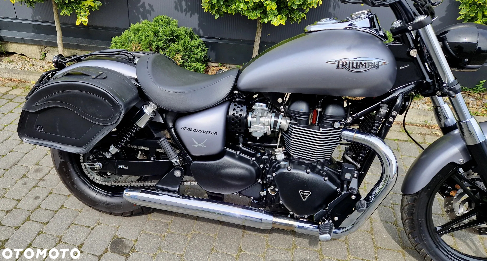 Triumph Speedmaster - 14
